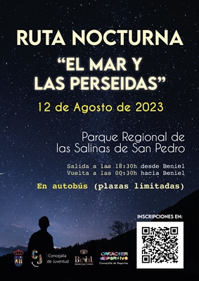 Cartel Ruta Perseidas