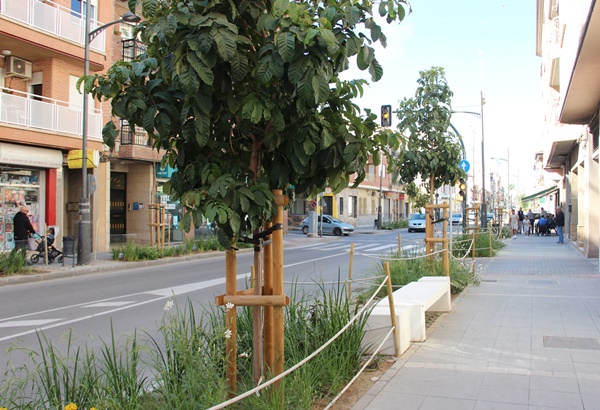 Comienzan las obras de renaturalización en avenida José Pujante